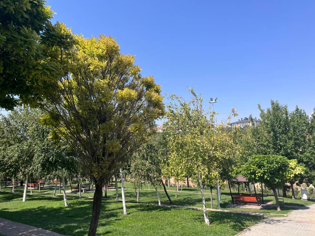 Konya’nın serinleten cenneti: Kanyon Park 3